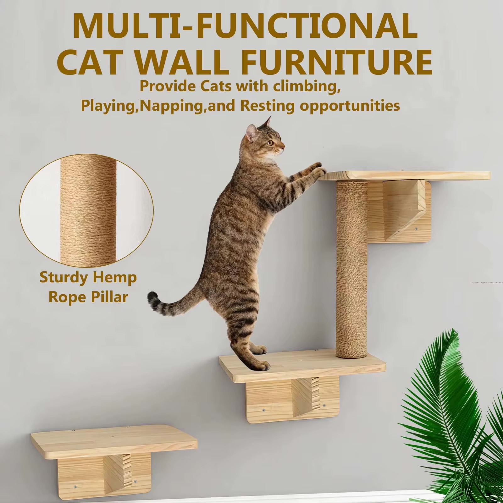 Cat Wall prolejzačka pro kočky 2
